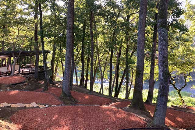 ソロ＆デュオフリーサイトイメージ